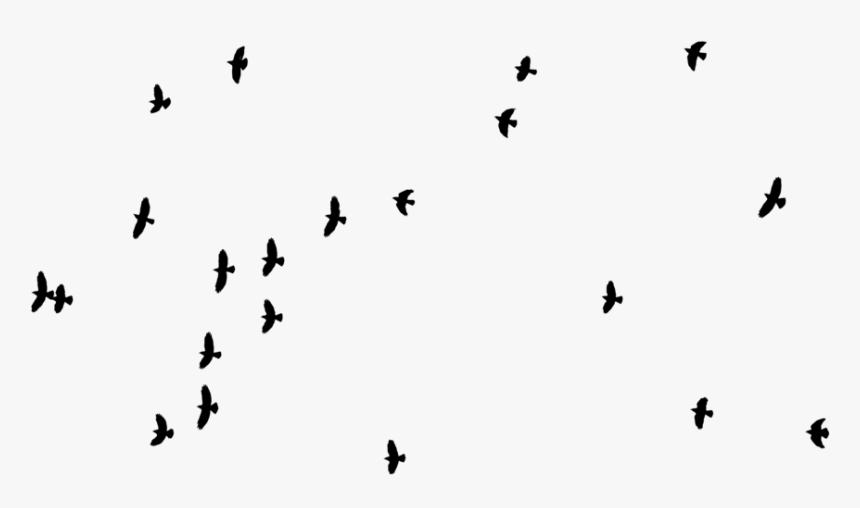 Image - Dessiner De Petits Oiseaux, HD Png Download