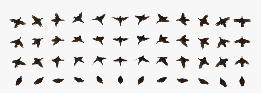 Dead Bird - Small Bird Animation, HD Png Download