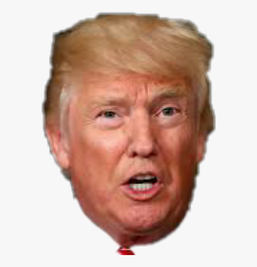 #donaldtrump - Human, HD Png Download