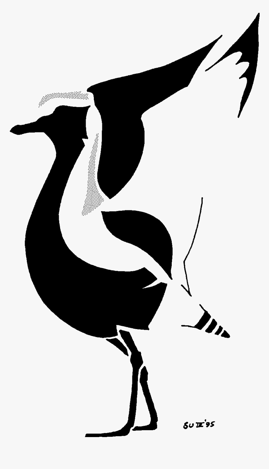 Wash Wader Ringing Group - Birds, HD Png Download