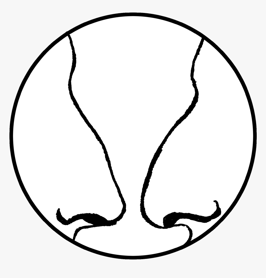 Virus Uk Punk Band, HD Png Download