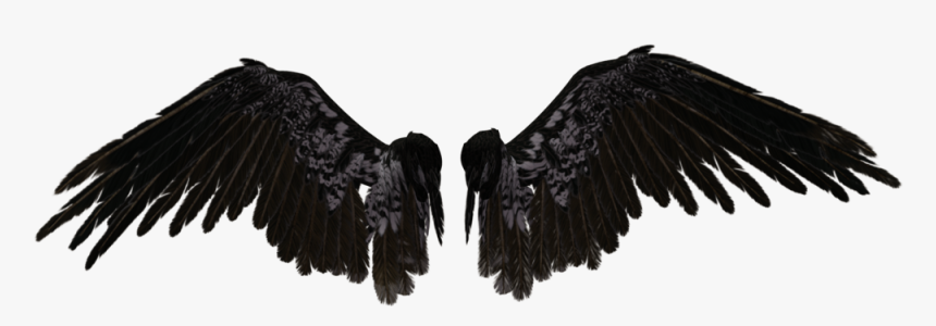 Black Angel Wings Png, Transparent Png