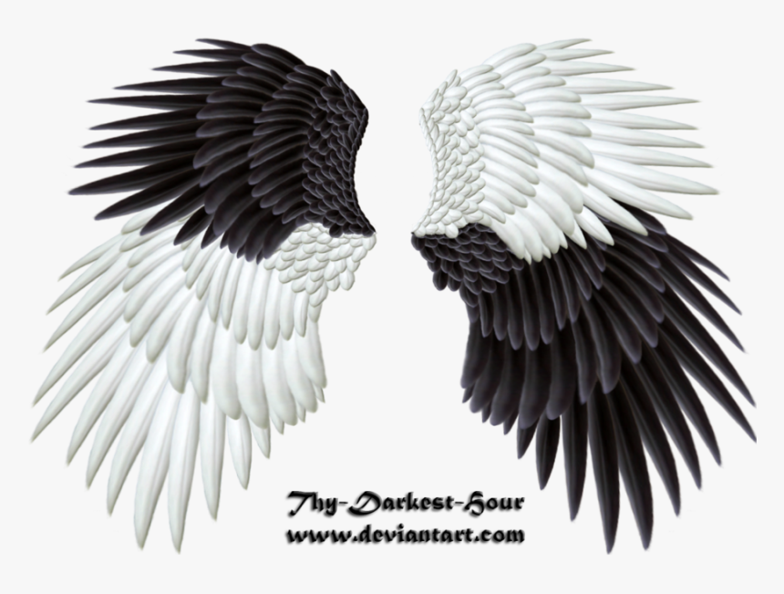 Evil Transparent Wings - Angel Wings Good And Bad, HD Png Download