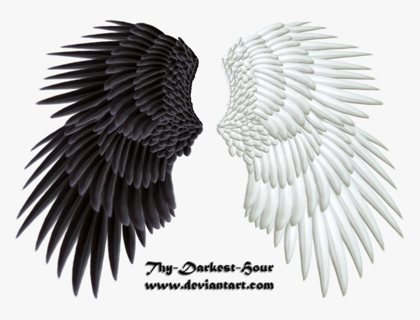 Evil Transparent Wings - Light And Dark Wings, HD Png Download