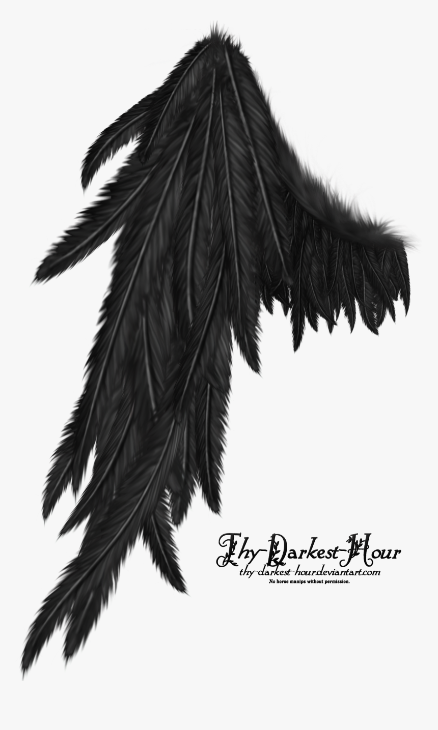 Realistic Demon Wings Png - Transparent Dark Angel Wings, Png Download