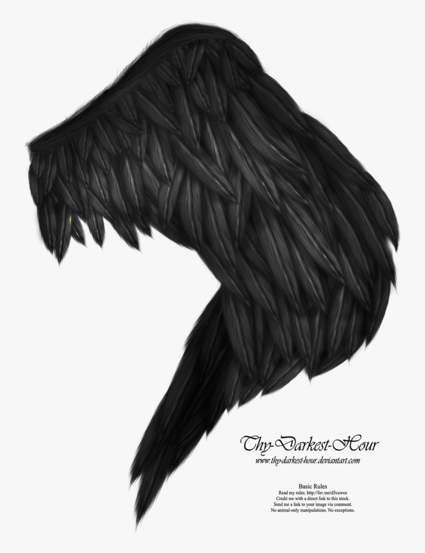 Realistic Wings Transparent Background, HD Png Download