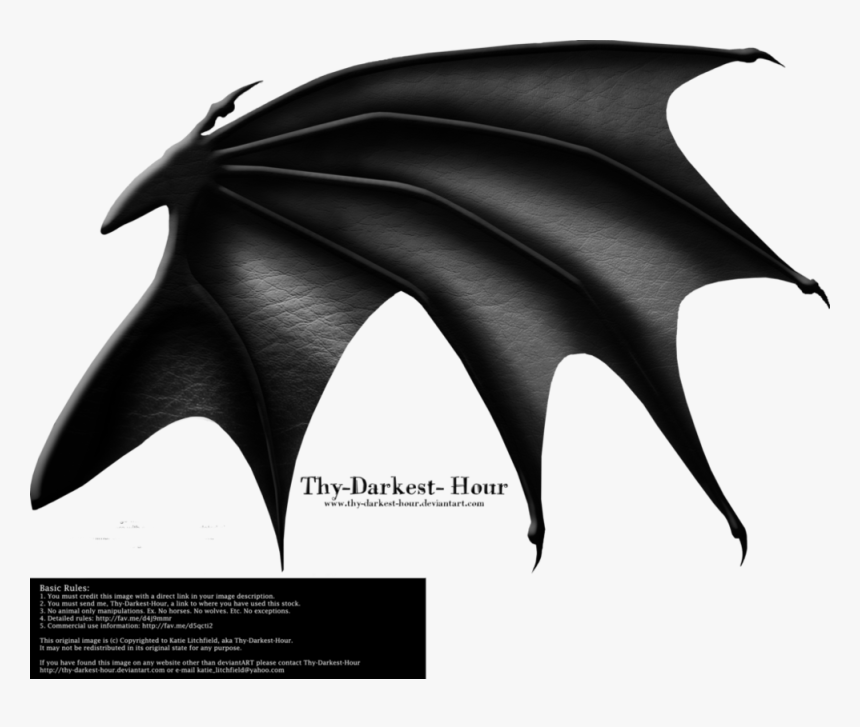 Realistic Dragon Wing