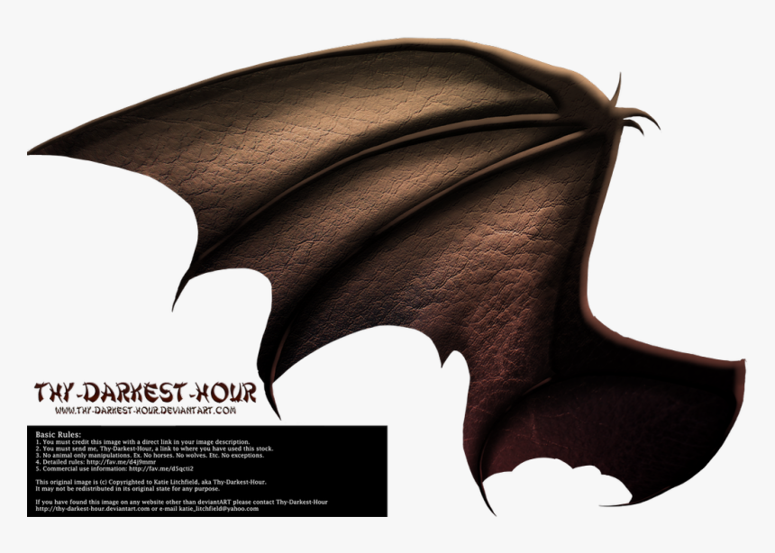Dragon Wings Side View, HD Png Download