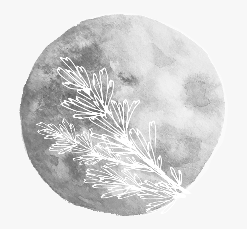 Sage Moon - Christmas Tree, HD Png Download