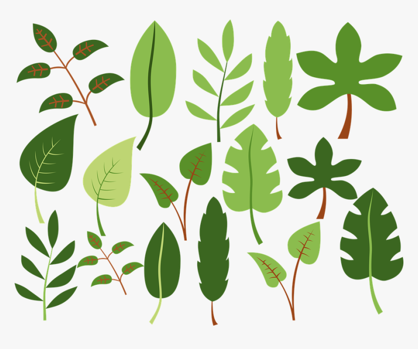 Clip Art, HD Png Download