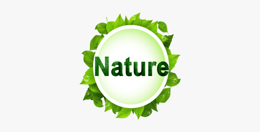 Vector Nature Png - Green Leaf Vector Png, Transparent Png