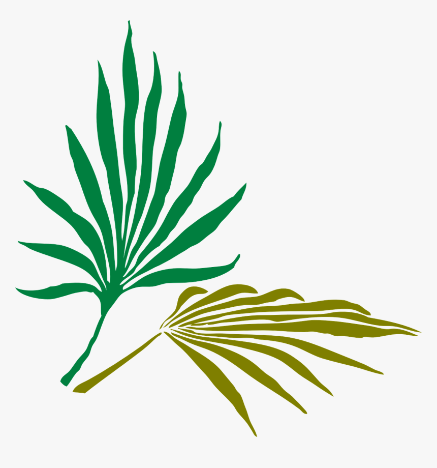 Palm Leaves Silhouette Png, Transparent Png