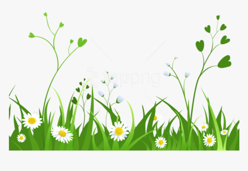 Download Daisies With Grasspicture Png Images Background - Garden Clipart Transparent Background, Png Download