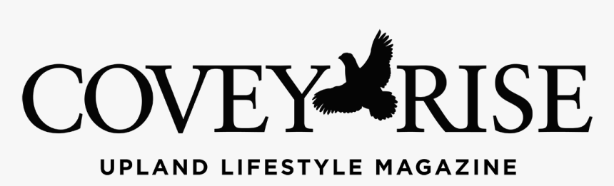 Bird Of Prey, HD Png Download