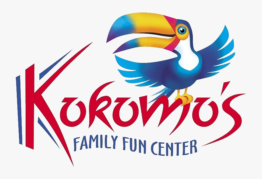 Toucan, HD Png Download