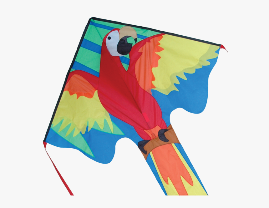 Macaw, HD Png Download