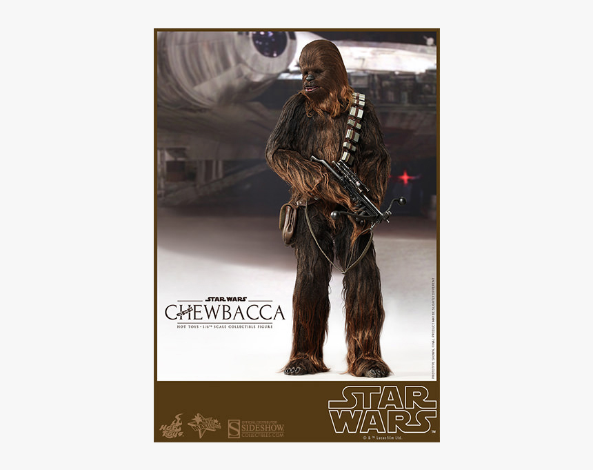 Star Wars Chewbacca 1/6 - Star Wars Chewbacca, HD Png Download