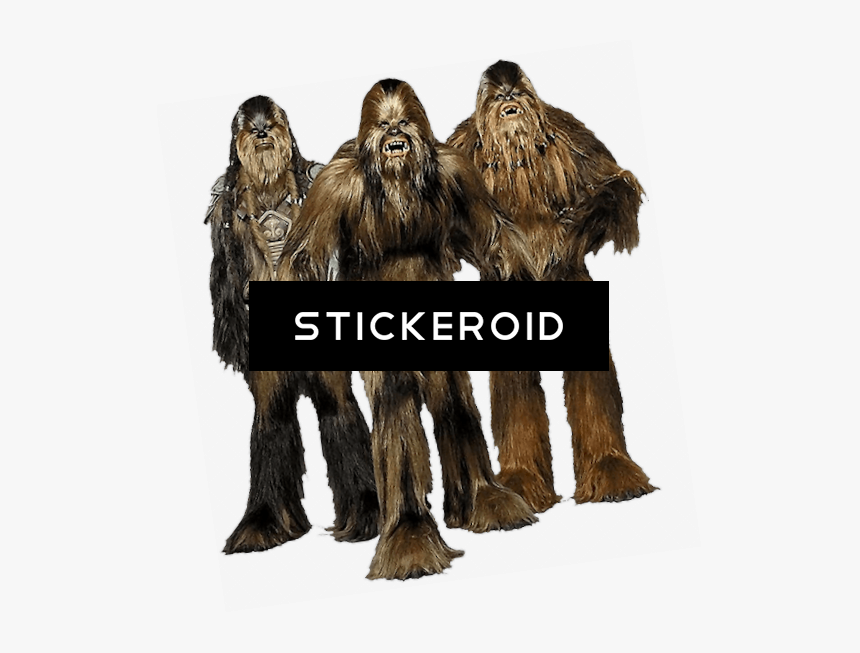 Star Wars , Png Download - Wookie Races, Transparent Png
