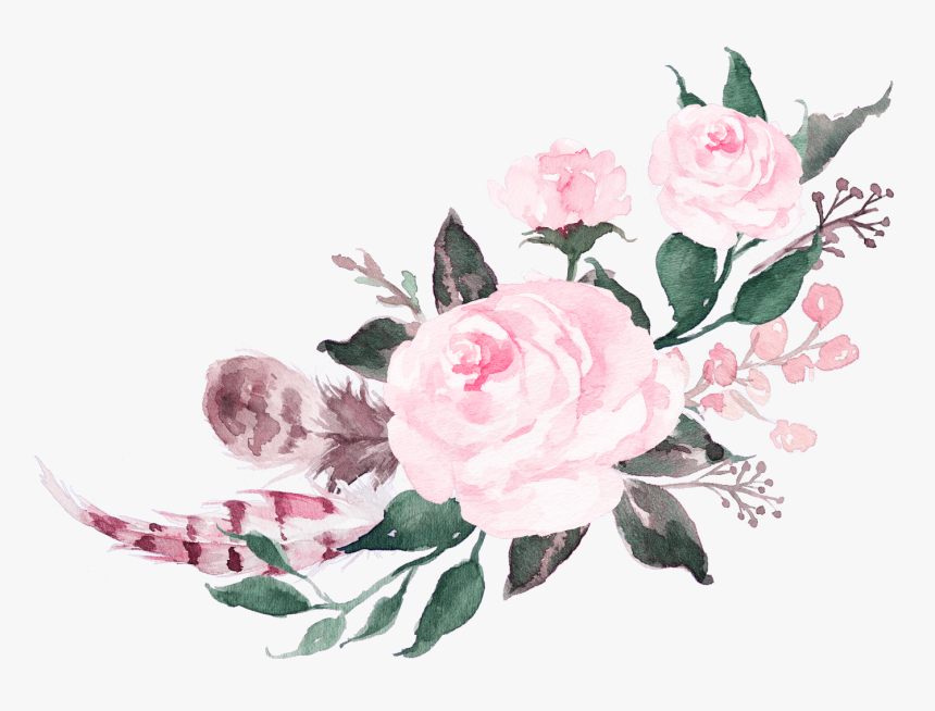 Watercolor Roses Png Pink Watercolor Flower Png Transparent Png Transparent Png Image Pngitem