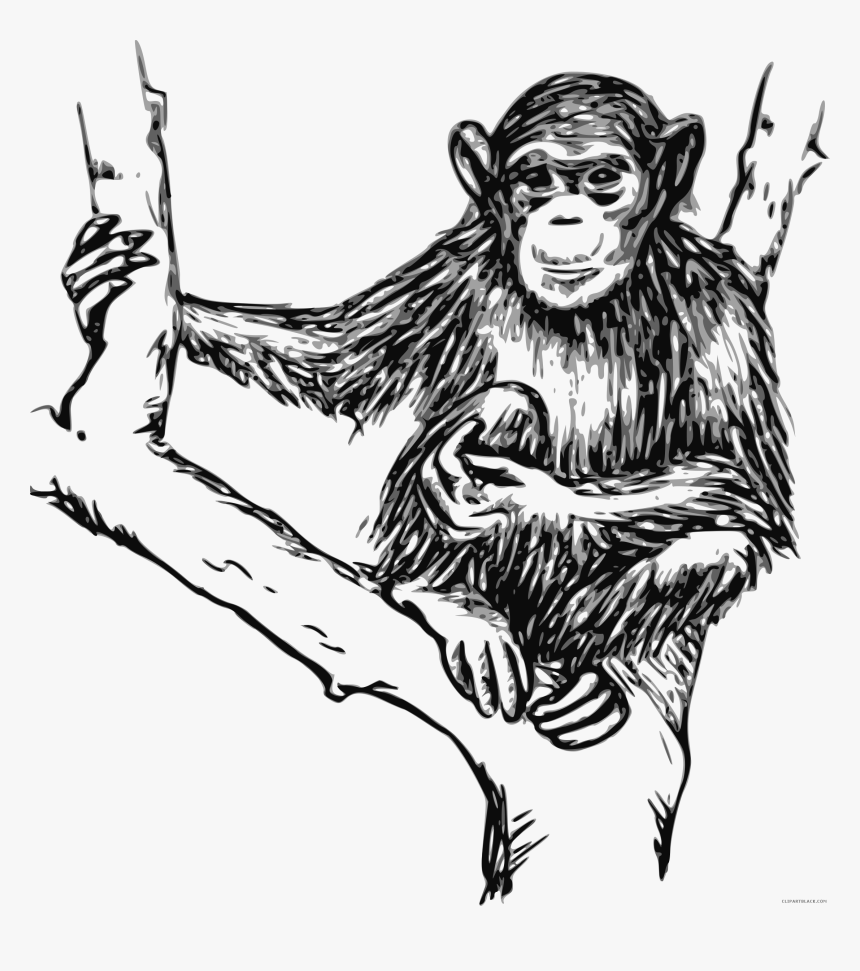 Elephant Clipart Trainer - Monkey Black And White, HD Png Download