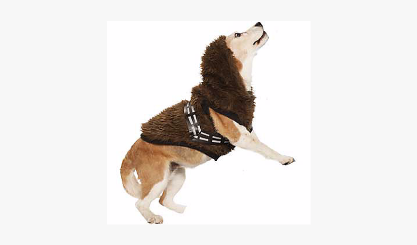 Petco Star Wars Costume Chewbacca, HD Png Download