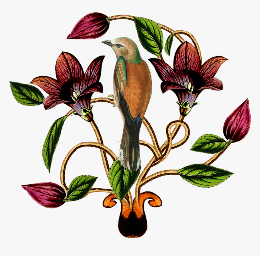 Textile Design,print Design,textile,fabric Design,design,textile - Illustration, HD Png Download
