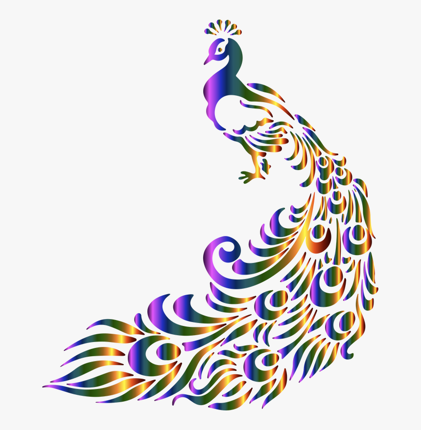 Picture - Clipart Peacock Transparent Background, HD Png Download