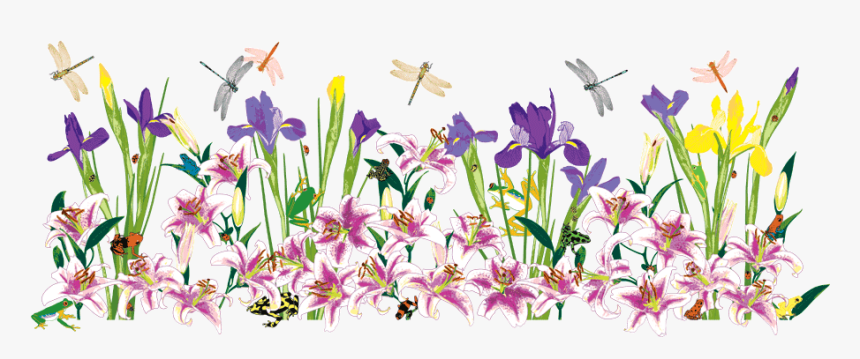 Border, HD Png Download