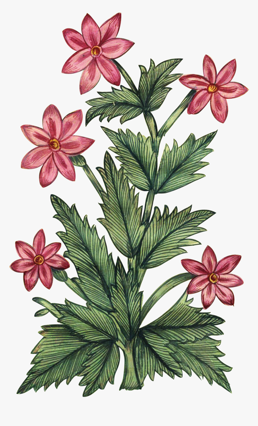 Mughal Floral Art Png, Transparent Png