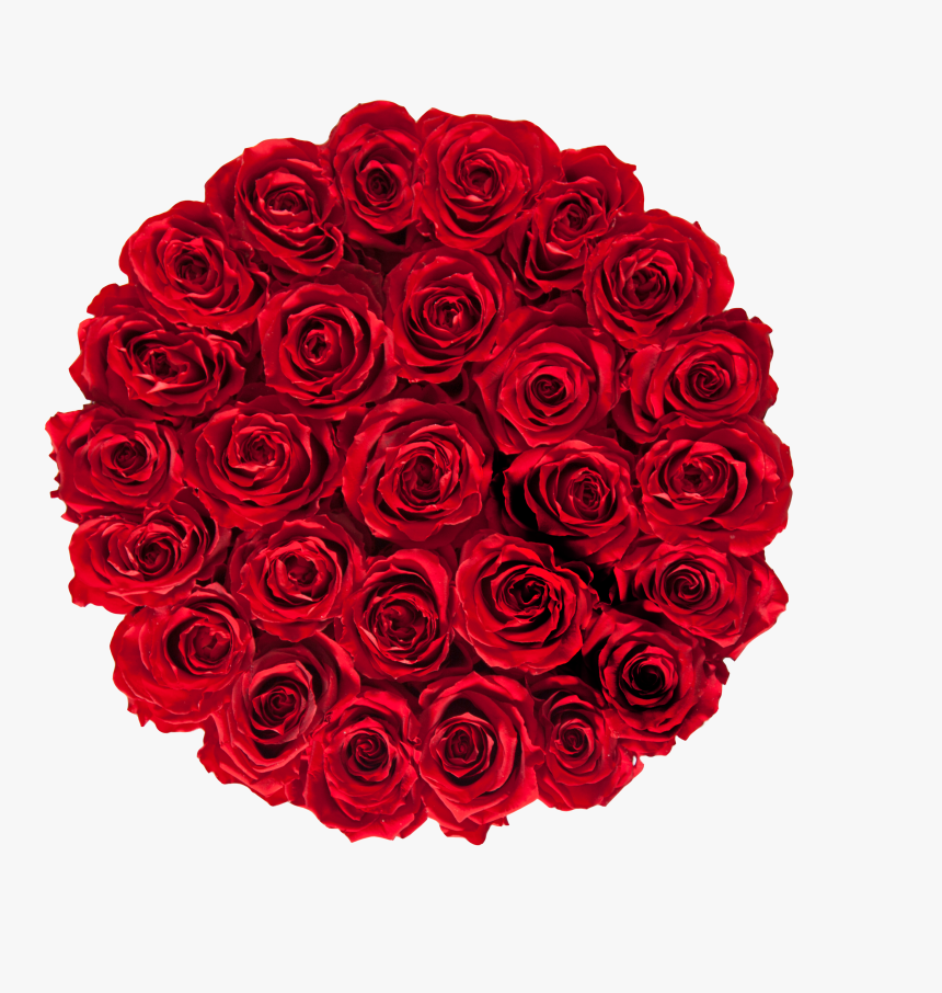 Garden Roses, HD Png Download