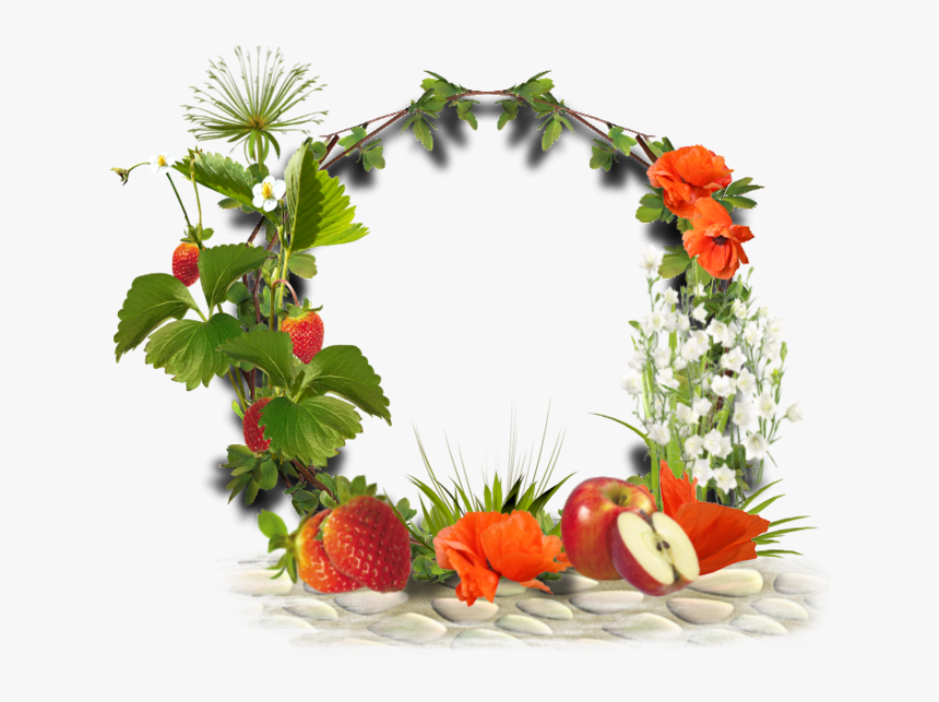 Pour Vos Créas - Tubes Png Cadre Fruité, Transparent Png