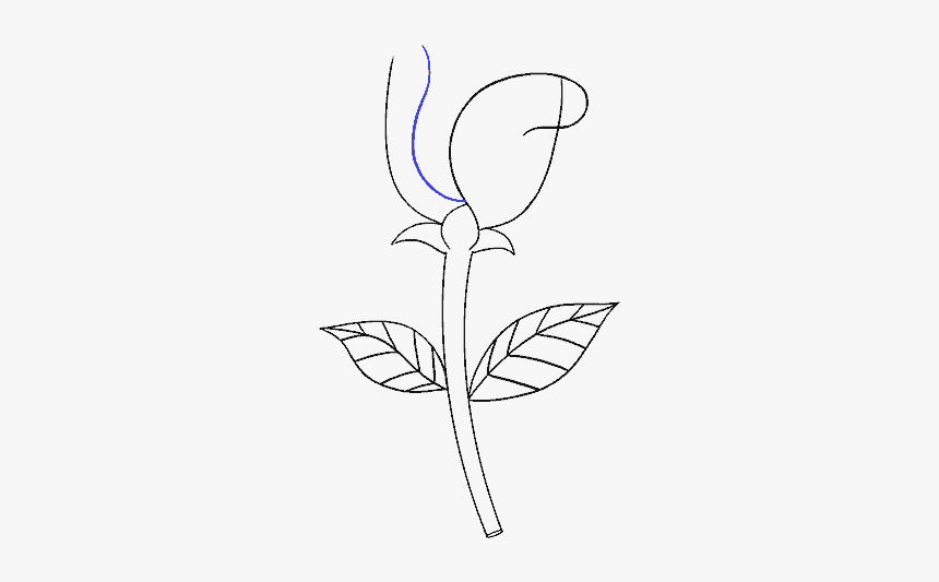 How To Draw Simple Rose Drawing Hd Png Download Transparent Png Image Pngitem how to draw simple rose drawing hd