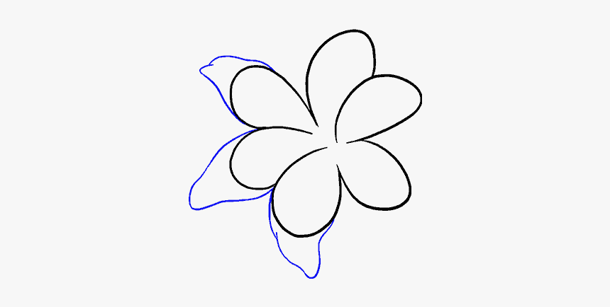 How To Draw Lily - Line Art, HD Png Download