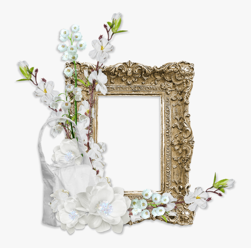Cadre Png, Cluster - Picture Frame, Transparent Png