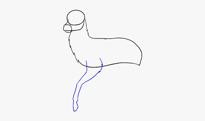 How To Draw Deer - Line Art, HD Png Download