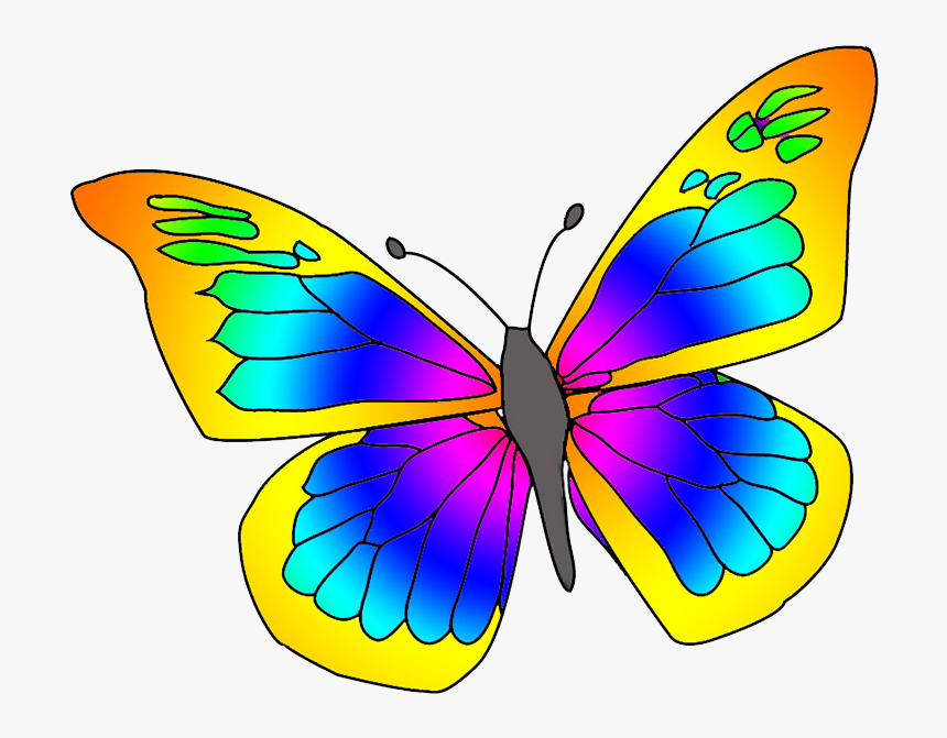 Many Colored Butterfly - Clipart Picture Of Butterfly, HD Png Download