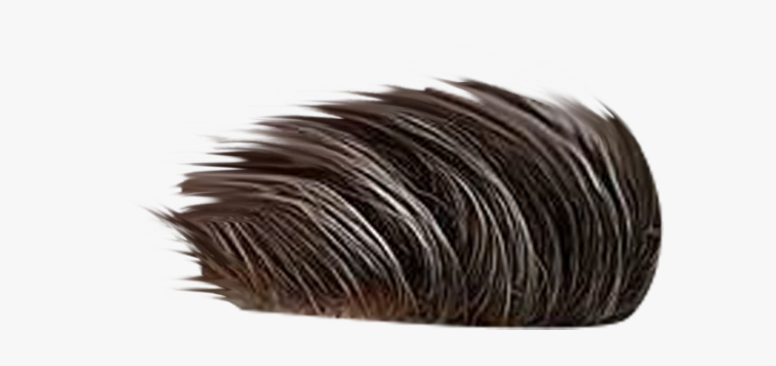 Png Hair Free Download, Transparent Png