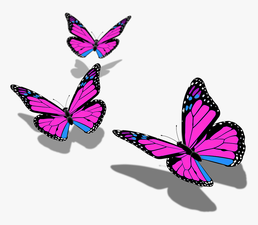 Butterfly Butterflies Mariposa Ftestickers Stickers - Transparent Background Butterfly Png Hd, Png Download