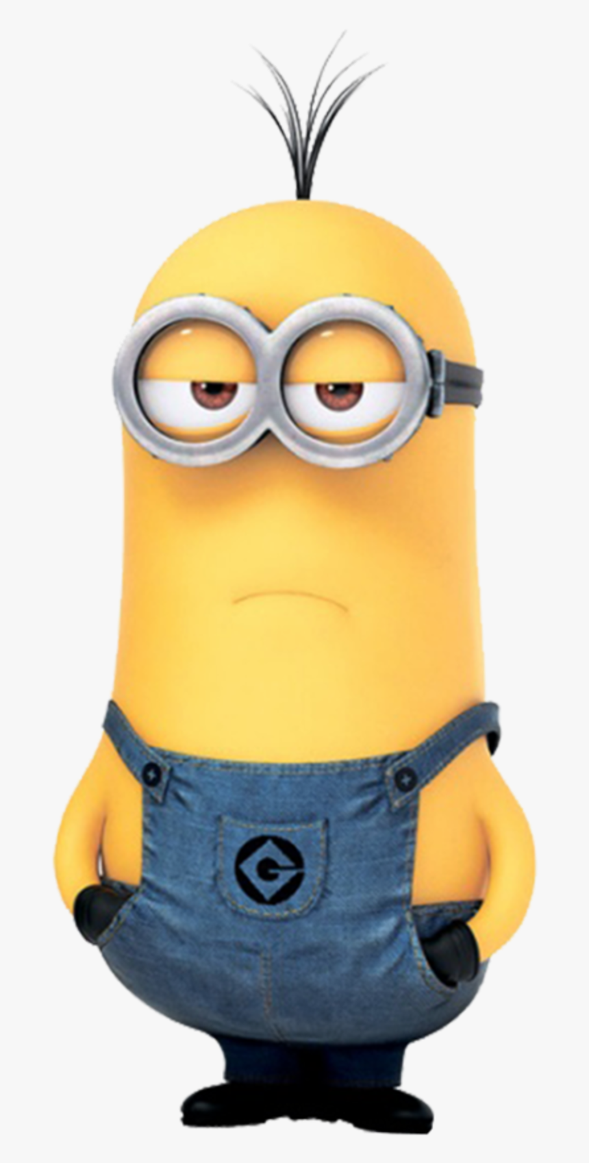 The Justin Quintanilla Wikia - Best Confusing Questions, HD Png Download