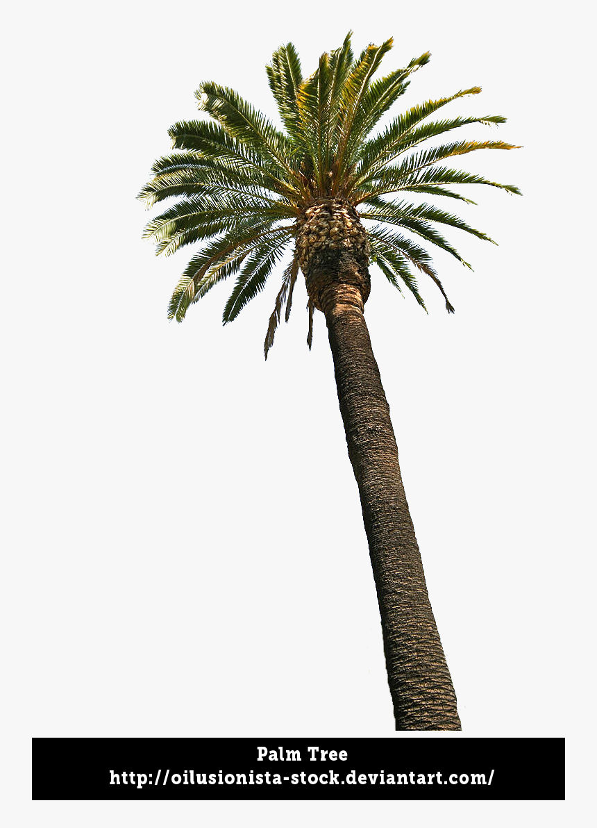 Thumb Image, HD Png Download