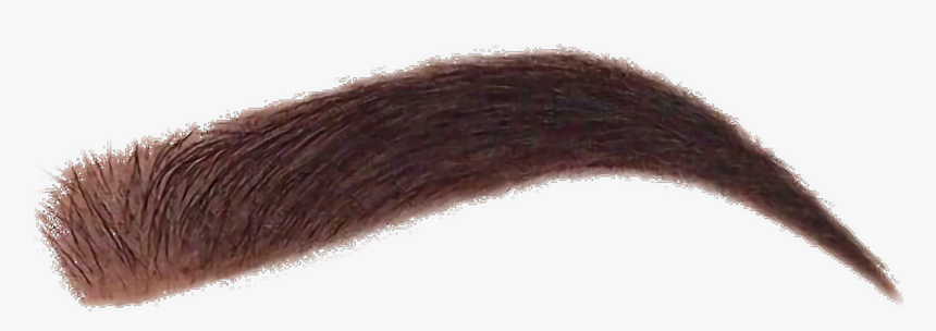 #makeup #freetoedit - Hair Coloring, HD Png Download