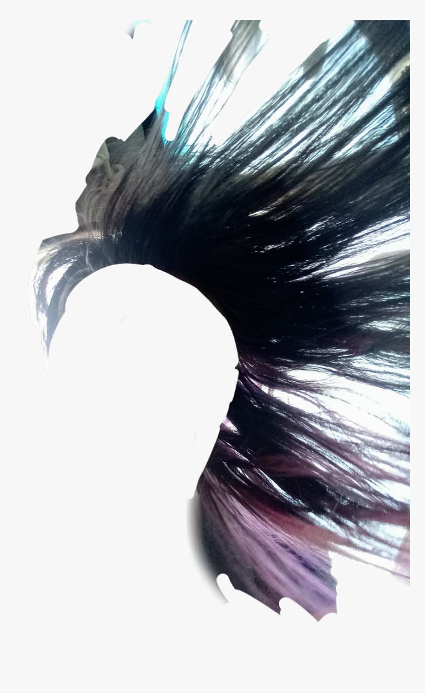 #hair - Lace Wig, HD Png Download