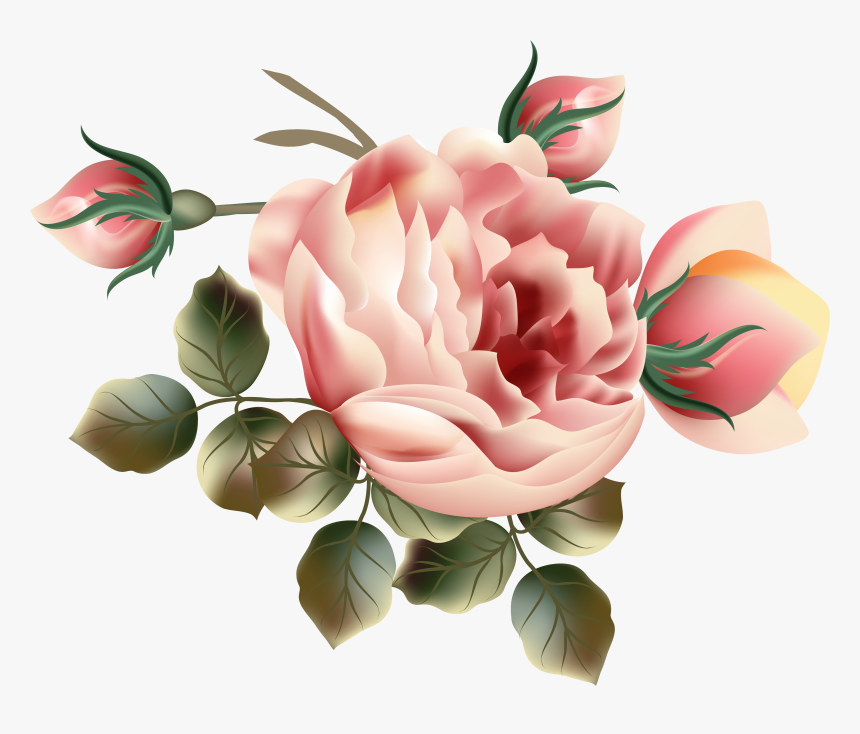 Gardener Clipart Planted Flower - Hybrid Tea Rose, HD Png Download