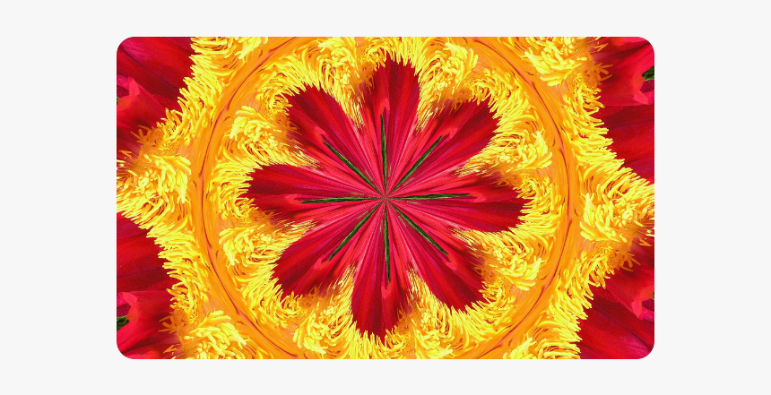The Ring Of Fire Doormat 30 X18 - Imagenes De 10 Flores, HD Png Download
