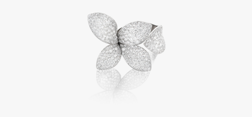 Pasquale Bruni Giardini Segreti - Pasquale Bruni Giardini Segreti Ring, HD Png Download