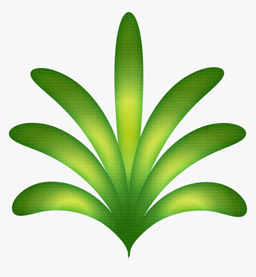 Freeuse Luau Havaianas Minus Festa Havaiana Pinterest - Folhas De Luau, HD Png Download