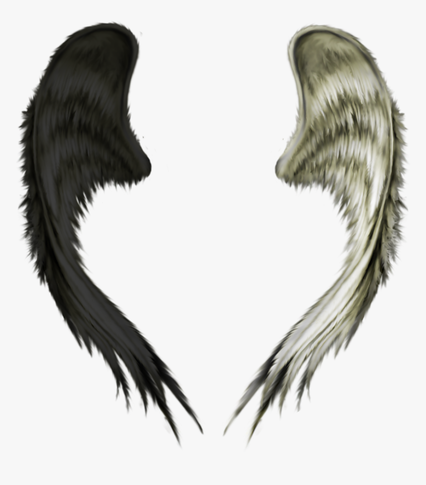 Good And Evil Wings, HD Png Download