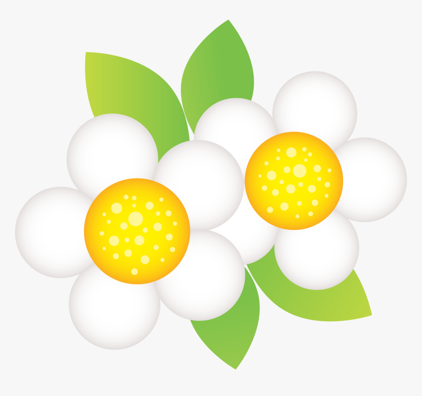 Photo By Daniellemoraesfalcao Minus - Flor Minus Png, Transparent Png