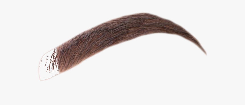Thread, HD Png Download