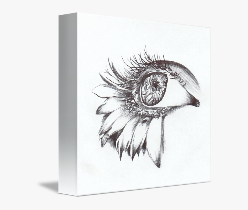 Daisy Lashes By Autumn - Sketch, HD Png Download